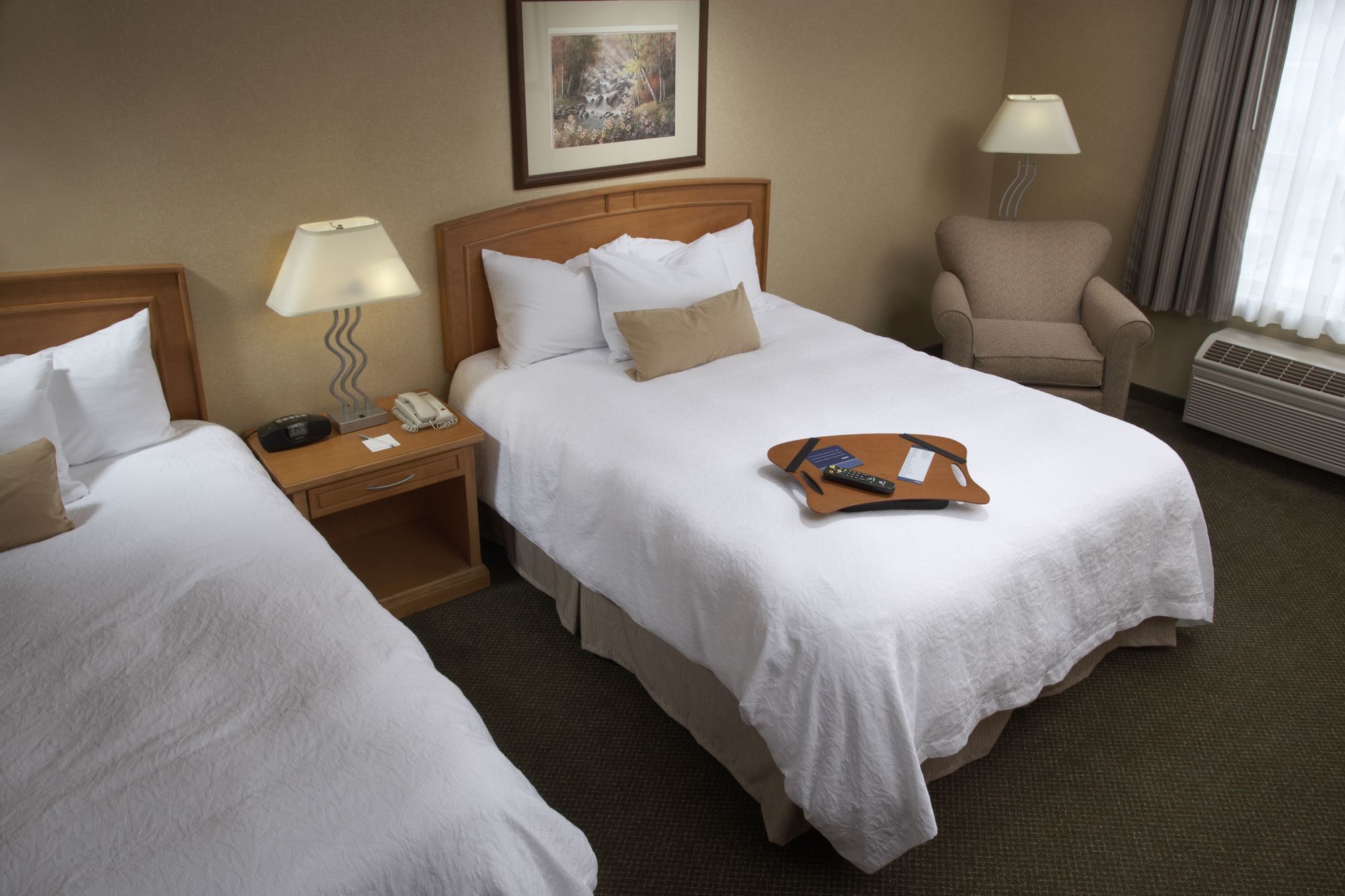 Hampton Inn By Hilton Kamloops Rum bild